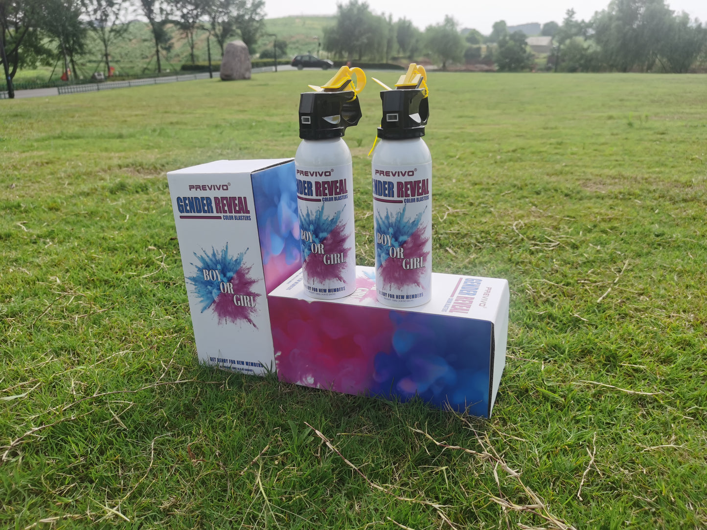 gender reveal color spray